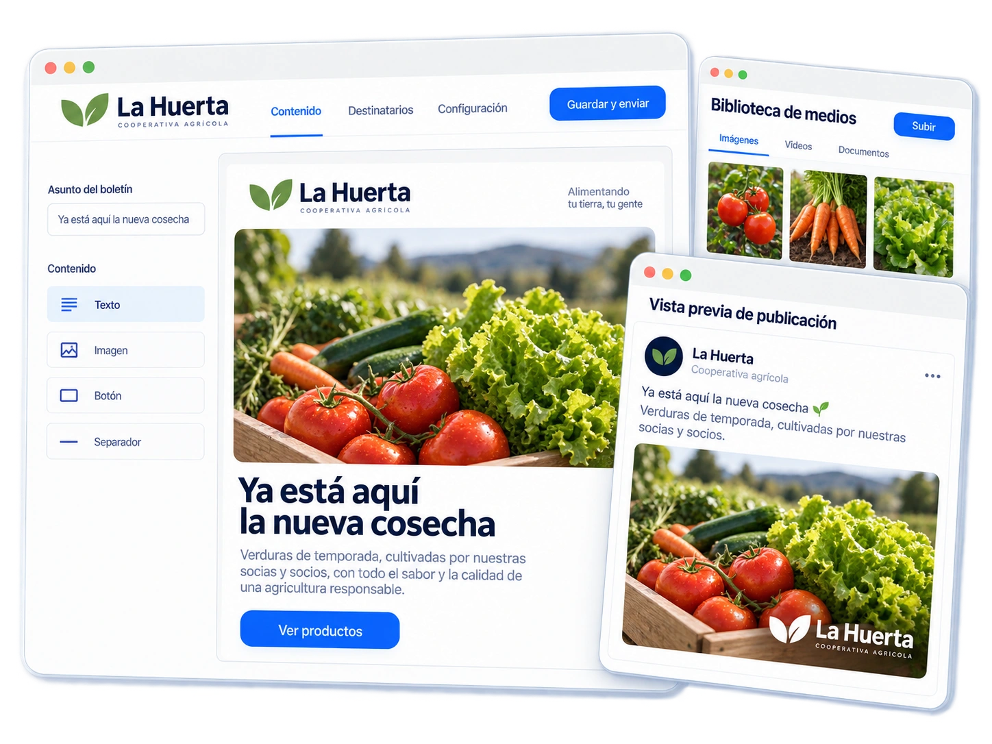 Newsletter y publicación de La Huerta sobre la nueva cosecha, creadas con fotografías de productos.